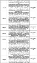 Figure imgf000095_0001