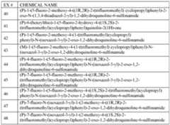 Figure imgf000012_0001