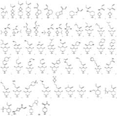 Figure PCTCN2020109681-appb-000095