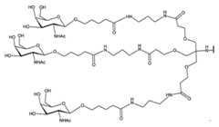 Figure 2023012548000226