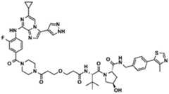 Figure BDA0002964098100001661