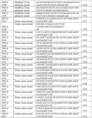 Figure imgf000240_0001