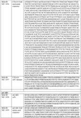 Figure imgf000086_0001