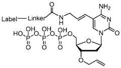 Figure imgf000081_0003