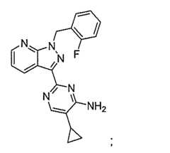 Figure 0007050759000029