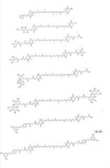 Figure GSA00000093394400341