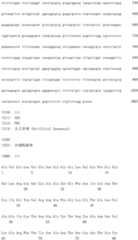 Figure IDA0002581779080001081