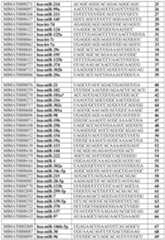 Figure imgf000044_0001