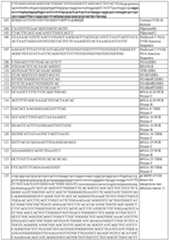 Figure imgf000191_0001