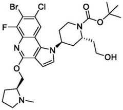 Figure BDA0003993773060002721