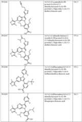 Figure imgf000171_0001