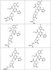 Figure FDA0003122494510000081