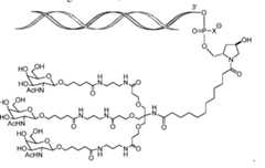 Figure imgf000085_0002