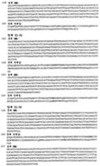 Figure 112008046186434-PCT00030