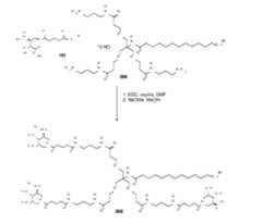 Figure imgf000215_0001