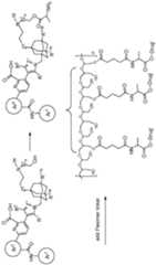 Figure imgf000093_0001