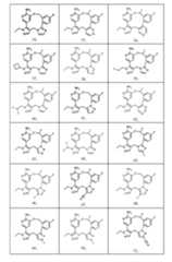 Figure imgf000056_0001