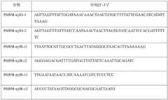 Figure BDA0001908414850000061