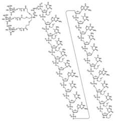 Figure 0007429103000216