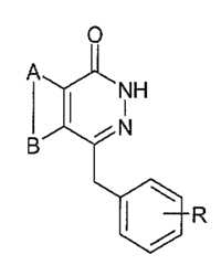 Figure 112005050535669-pct00002