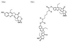 Figure JPOXMLDOC01-appb-C000029
