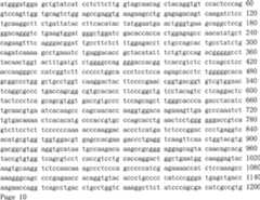 Figure A200780039907D00602