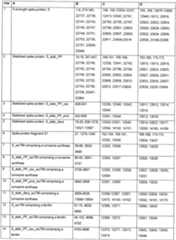 Figure imgf000045_0001