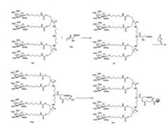 Figure 110128808-A0202-12-0207-234