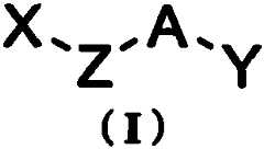 Figure BSA0000197904800000021