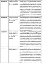 Figure imgf000031_0001