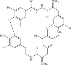 Figure US06734211-20040511-C00014