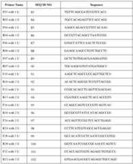 Figure imgf000062_0001