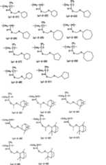 Figure G2008101733470D00391