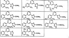 Figure A2004800130890007C1