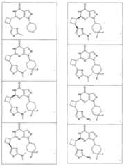 Figure 112016075837427-pct00124