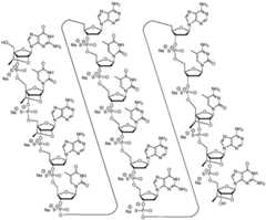 Figure BDA0002976854330000511