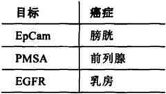 Figure BSA0000176163890000122