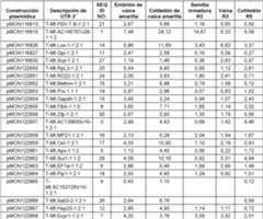 Figure imgf000020_0001