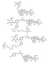 Figure imgf000128_0001