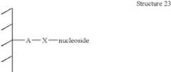 Figure US07014992-20060321-C00033