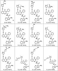 Figure BDA0003142399140001851