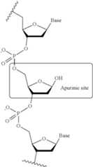 Figure US11965165-20240423-C00006