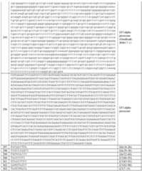 Figure imgf000233_0001