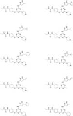 Figure FDA0000132633530000051