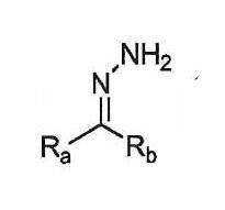 Figure 0007095041000019