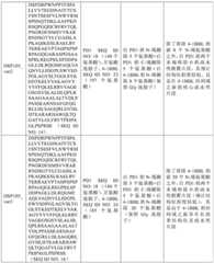 Figure BDA0002939076220001801