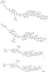 Figure imgf000082_0001