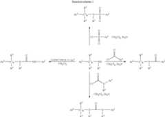 Figure US07060723-20060613-C00015