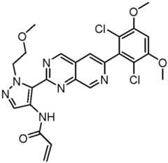 Figure GPA0000263212130002572