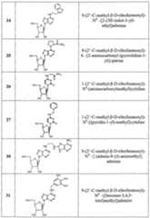 Figure imgf000025_0001